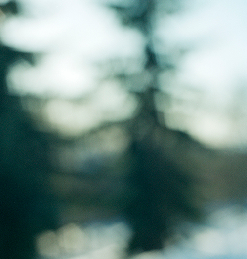 Hedevig Anker, Alt vil forsvinne