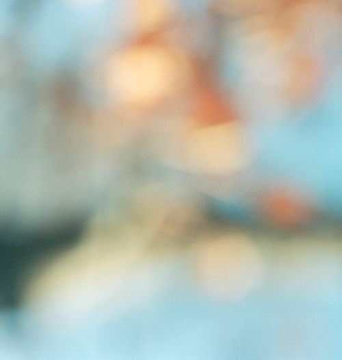 Hedevig Anker, Alt vil forsvinne