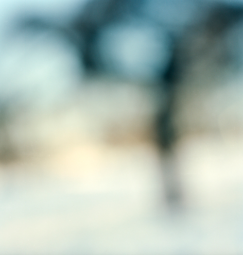 Hedevig Anker, Alt vil forsvinne