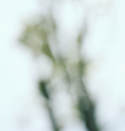 Hedevig Anker, Alt vil forsvinne